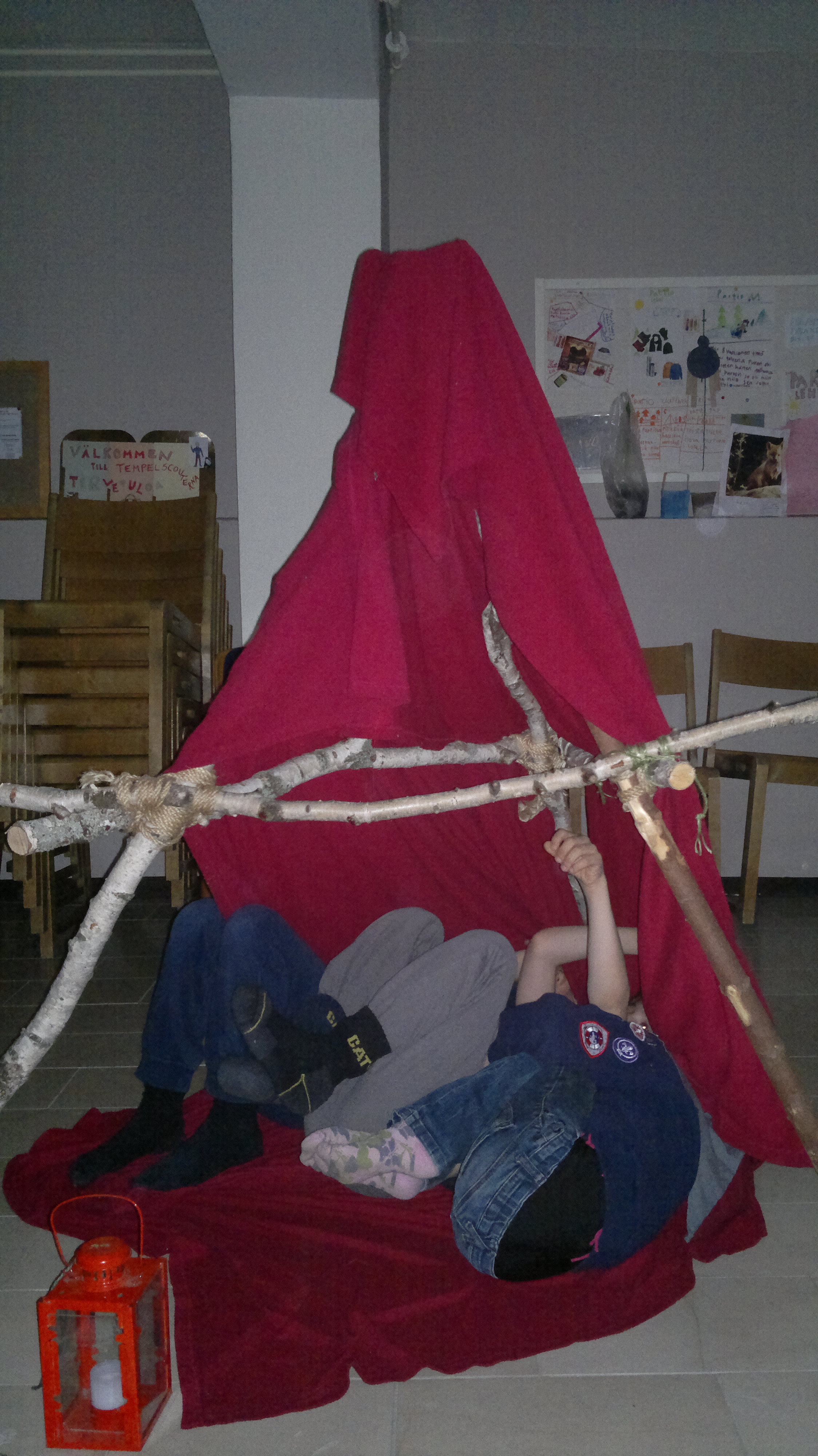 Kissanpennut majassa