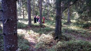 Scouter i skogen